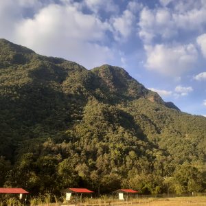 PICNIC RESERVATION