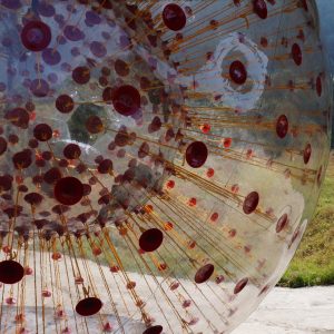 HARNESS ZORBING