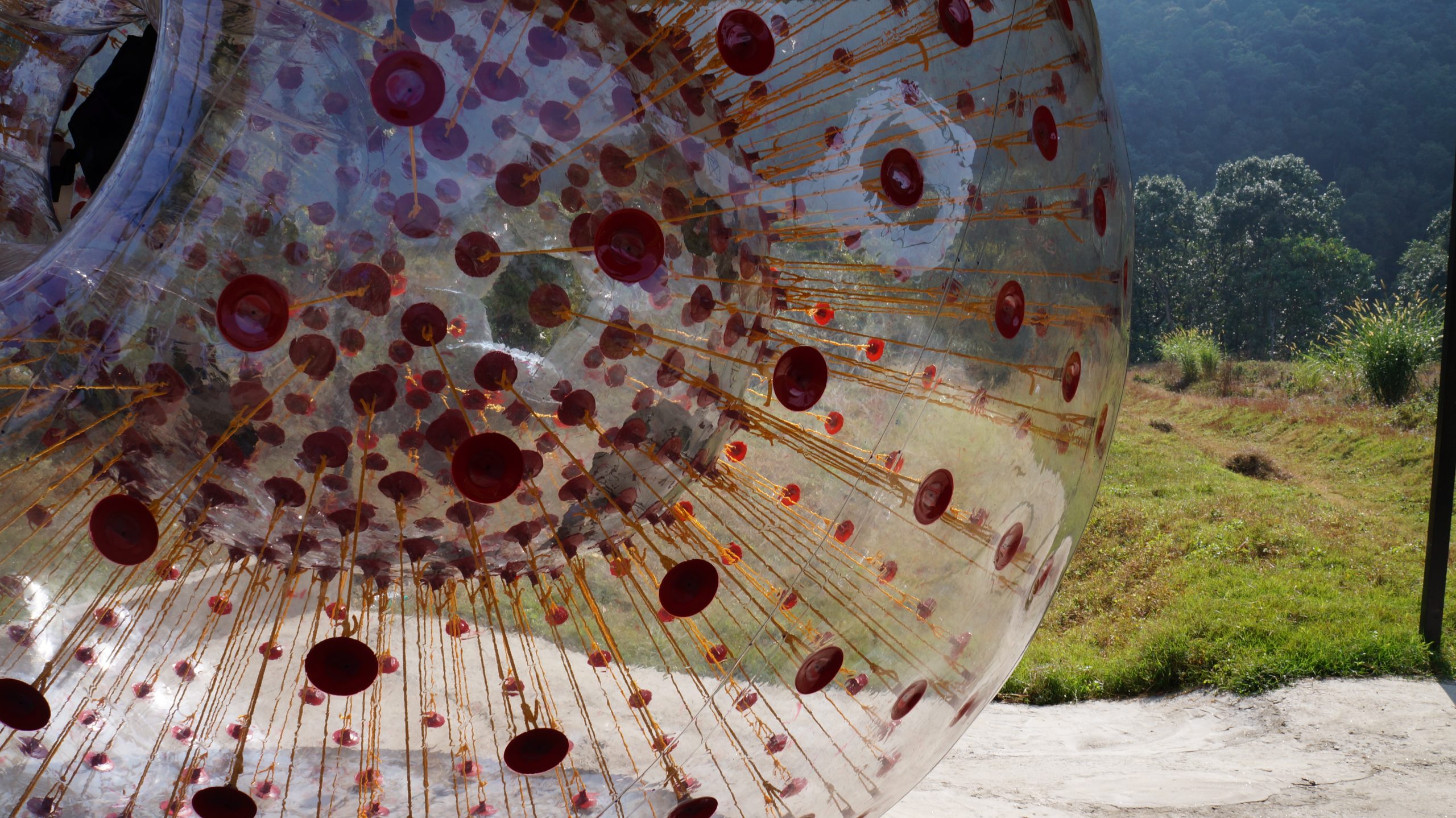 HARNESS ZORBING