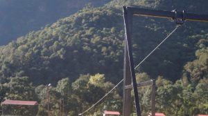 kids zipline