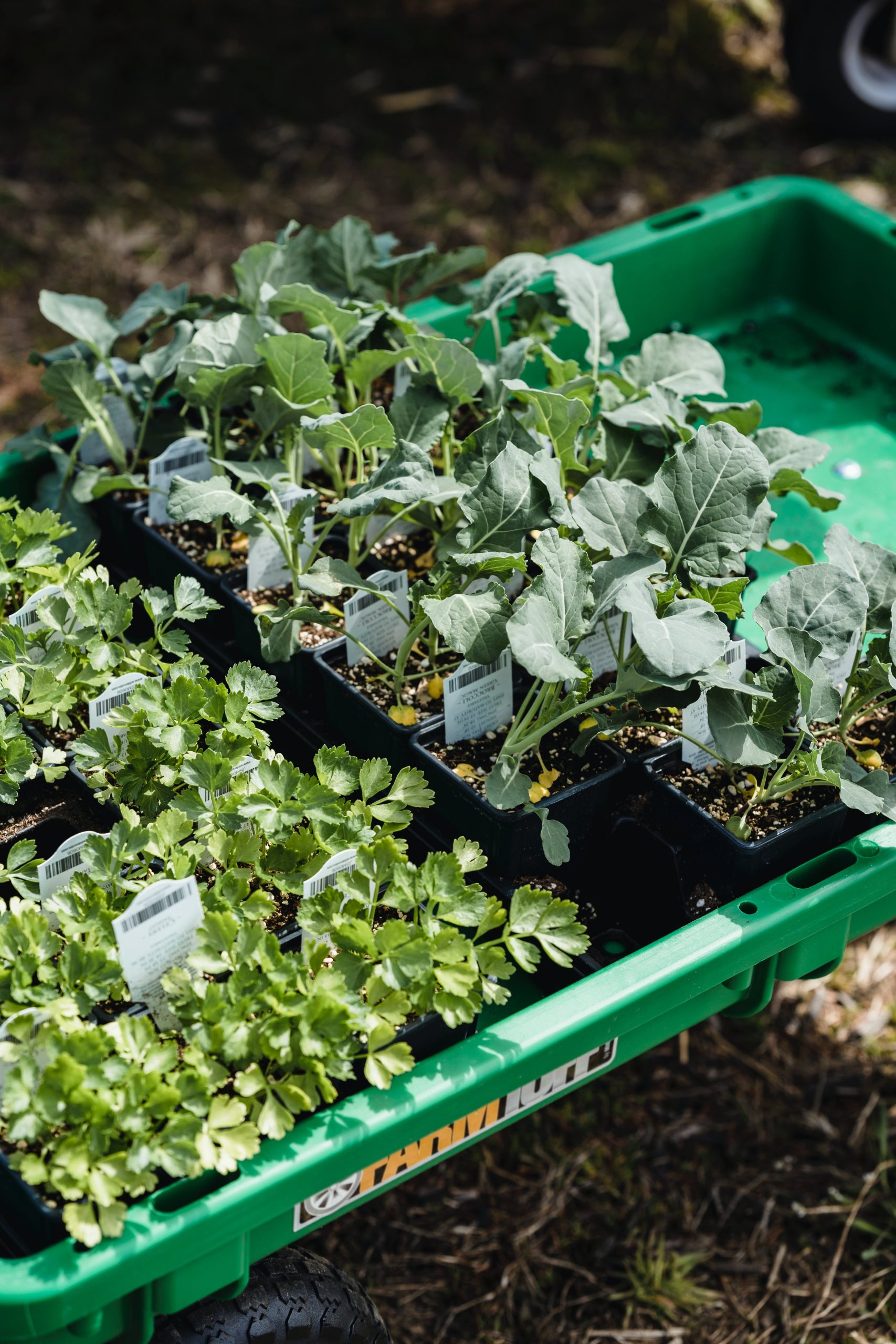 eco garden